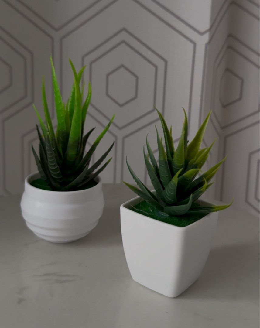2pcs set Small Artificial Plant (Category: Other Home Decor) located in Marikina City. Submitted by lovegoeson (Listing ID 1462668523, Image 2). Description: .