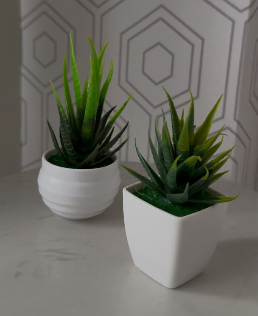 2pcs set Small Artificial Plant (Category: Other Home Decor) located in Marikina City. Submitted by lovegoeson (Listing ID 1462668523, Image 1). Description: .
