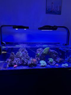 (Category: ) located in . Submitted by farnoushba89775 (Listing ID 1462600729, Image 1). Description: .
