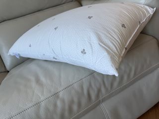 （分類：）位於 。 由 macharlin 提交（商品編號 1462545786，圖片 1）。簡介： 。