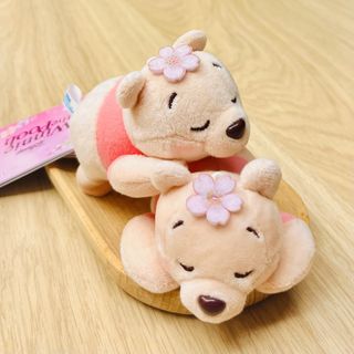（分類：）位於 。 由 happyyytodealll 提交（商品編號 1462660569，圖片 1）。簡介： 。