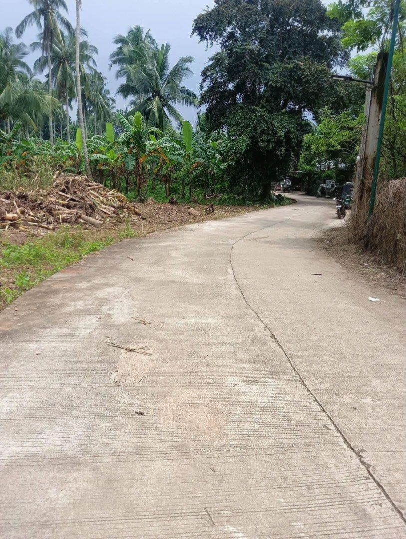 Alfonso Farmlot (Category: Lot) located in Imus. Submitted by salesperson_jayveebendo (Listing ID 1462632525, Image 1). Description: 🌿 SOUTHLAND TAYWANAK NATURE FARM 🌿 📍 Brgy. Taywanak Ibaba, Alfonso, Cavite 🏡 FARM LOTS AS LOW AS ₱4,000/SQM! ⏱️ Only 20 minutes from Tagaytay–Nasugbu Highway 🔥 FIRST 10 CASH BUYERS — INNER LOTS ONLY! ✨ Flexible Payment Options: • 30% DP + ₱10,000 discount | Balance up to 60 months • Deferred DP: 30% within 3 mo