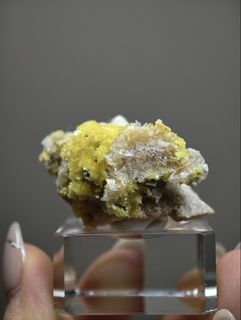 （分類：）位於 。 由 biubiu321 提交（商品編號 1462630176，圖片 1）。簡介： 。