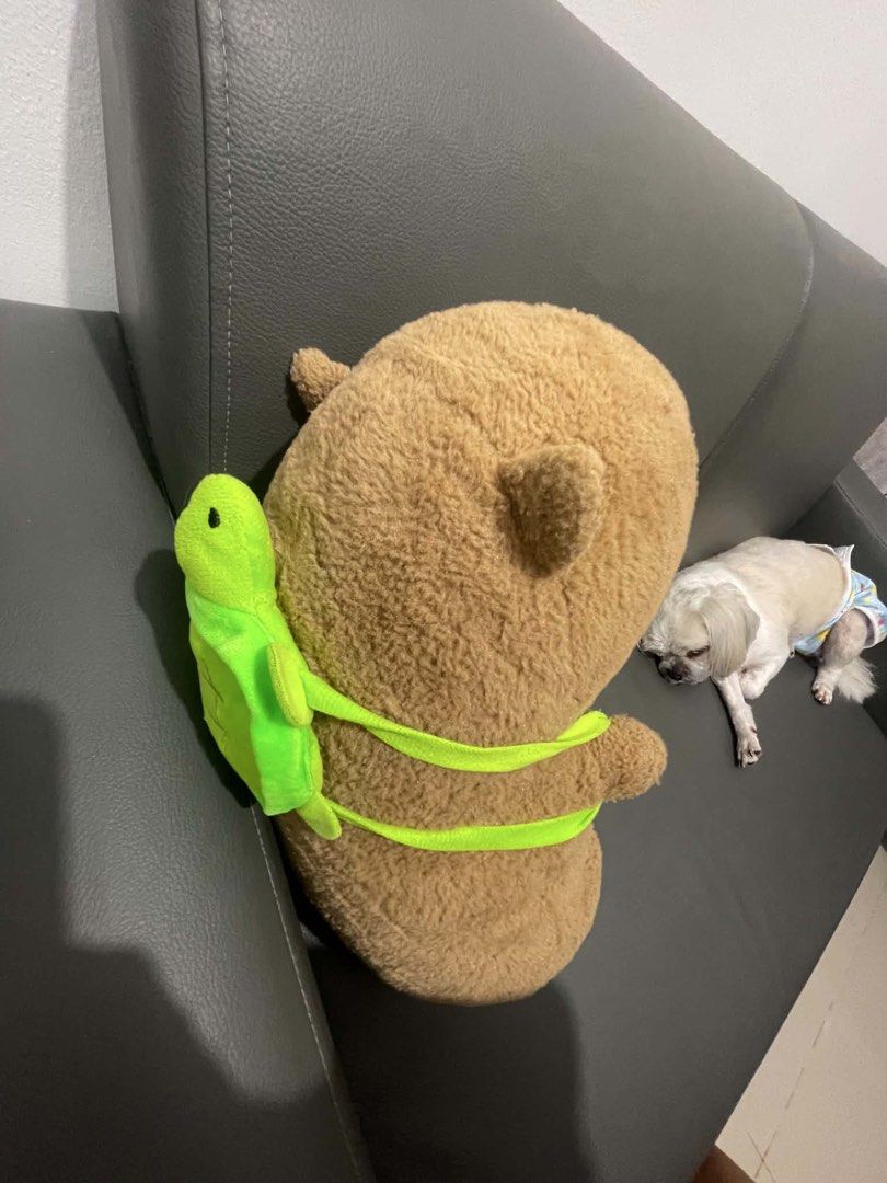 Cute Capybara Plush Toy with Turtle Backpack (Category: Plushies & Soft Toys) located in Manila. Submitted by kenakeza (Listing ID 1462496313, Image 3). Description: -Bought for 6 hundred - Super soft and cuddly capybara plush - Adorable green turtle backpack attached - Ideal for kids or as a cute desk decoration - Clean and well-maintained condition.