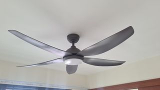 (Category: ) located in . Submitted by fre8161 (Listing ID 1462586476, Image 1). Description: .
