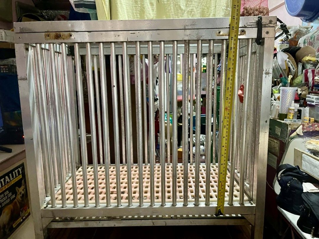 DOG CAGE PACKAGE (Category: Homes & Other Pet Accessories) located in Manila. Submitted by evelyn237 (Listing ID 1462636215, Image 2). Description: FOR SALE DOG CAGE PACKAGE Php 4,900 For pick up only (Santa Clara Santa Maria bulacan).