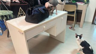 （分類：）位於 。 由 rubyyy1231 提交（商品編號 1462637891，圖片 1）。簡介： 。