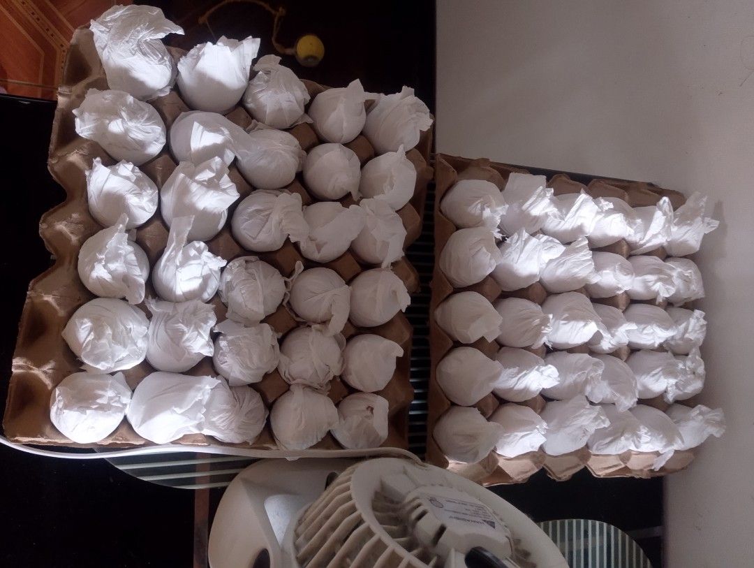 Free-range heritage chicken Fertile eggs (Category: Packaged & Instant Food) located in San Mateo. Submitted by k1ymelvz (Listing ID 1462482539, Image 2). Description: 40 each every 10+1 available lines BPR/golden buff Orpington/ lalamove/can ship mop gcash/Maya/maribank loc San Mateo rizal limited stocks available!.