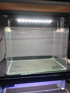 (Category: ) located in . Submitted by yrugay (Listing ID 1462585524, Image 1). Description: .