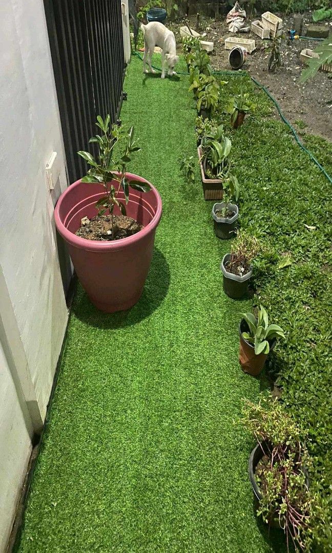 grass carpet (Category: Carpets, Mats & Flooring) located in Manila. Submitted by nixdcruz (Listing ID 1462619115, Image 2). Description: Grass carpet 1meter and 2meter width standard per meter and per roll available 10mm 25mm 30mm.