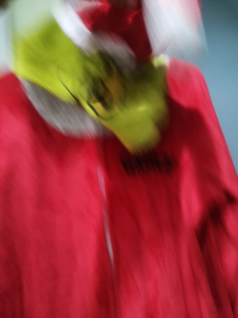 Grinch costume Meduim (Category: Looking For) located in Manila. Submitted by mharl16apron (Listing ID 1462441613, Image 2). Description: Excellent condition Need wash All items are from bale please manage your expectation.