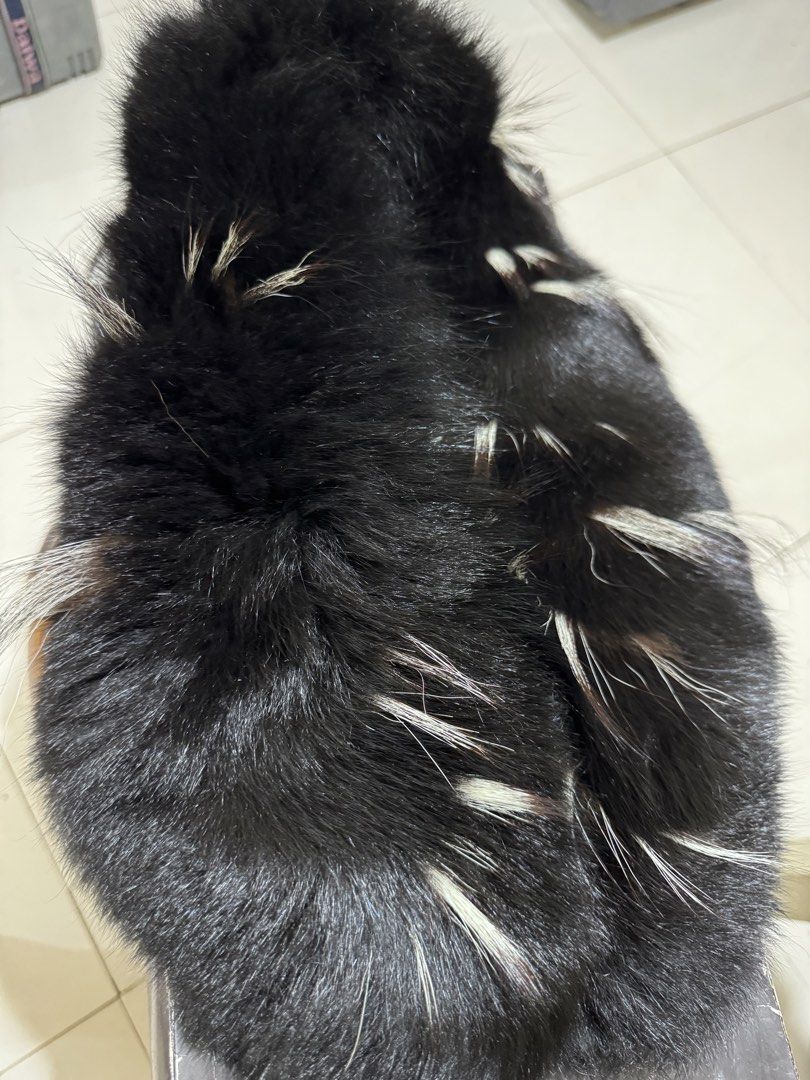Lanvin Saga Fox Fur Collection (Category: Luxury Accessories) located in Marikina City. Submitted by luvbags40524 (Listing ID 1462625204, Image 3). Description: Good condition Dm for interested .