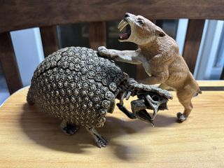 （分類：）位於 。 由 fish_crab_shrimp666 提交（商品編號 1462553368，圖片 1）。簡介： 。