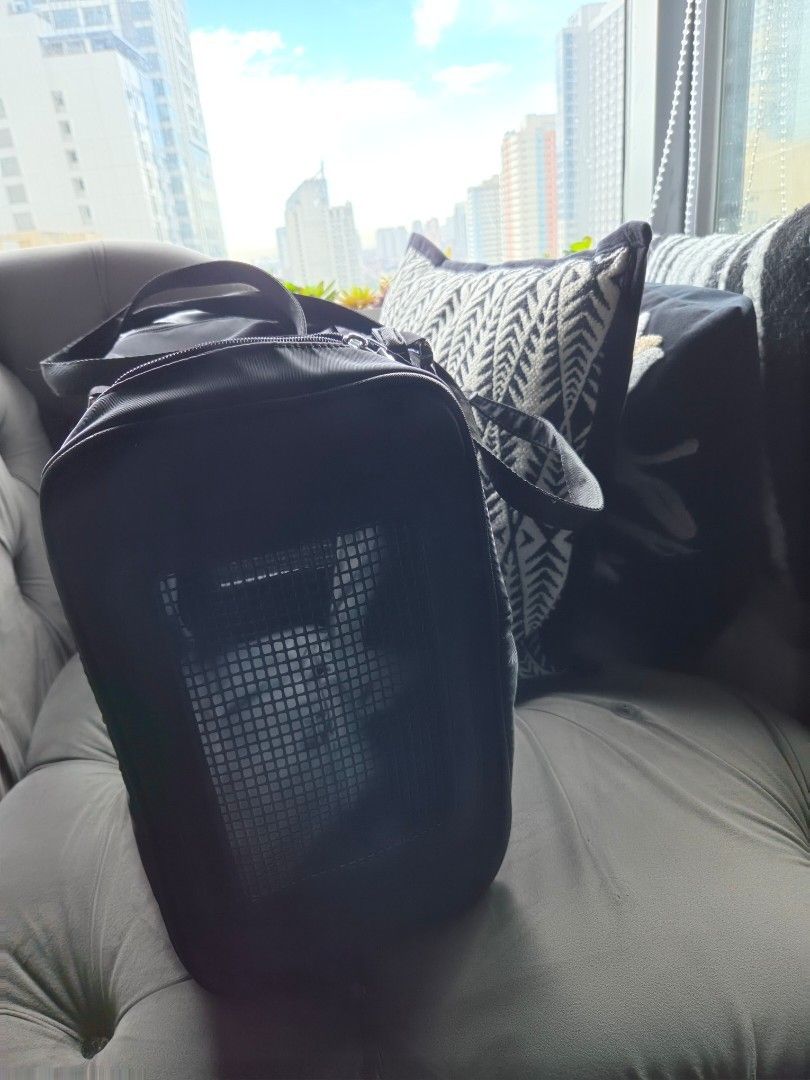 PRADA PET CARRIER PRADA PET BAG (Category: Luxury Bags & Wallets) located in Las Pinas. Submitted by peloveditems (Listing ID 1462612445, Image 2). Description: .
