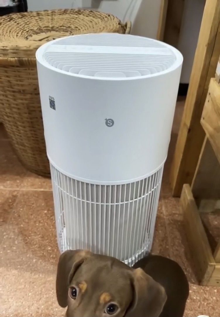 Simplus Air Purifier with HEPA H13 Filter & Smart AI (Category: Air Purifiers & Dehumidifiers) located in Caloocan City. Submitted by caparrosivan12-32271 (Listing ID 1462603815, Image 3). Description: - Simplus Air Purifier for cleaner air - Advanced 7-layer filtration with HEPA H13 - Covers rooms up to 70m² - Special Pet Mode for pet owners - Smart AI learns your air quality patterns - Control via app or LED touch panel - 24-hour timer - Quiet 