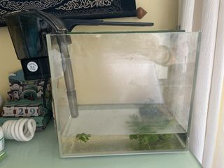 （分類：）位於 。 由 zhuzhuzxy31623 提交（商品編號 1462440415，圖片 1）。簡介： 。
