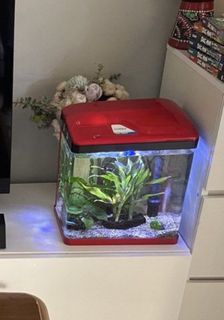 (Category: ) located in . Submitted by ed_edd_eddy (Listing ID 1462626577, Image 1). Description: .