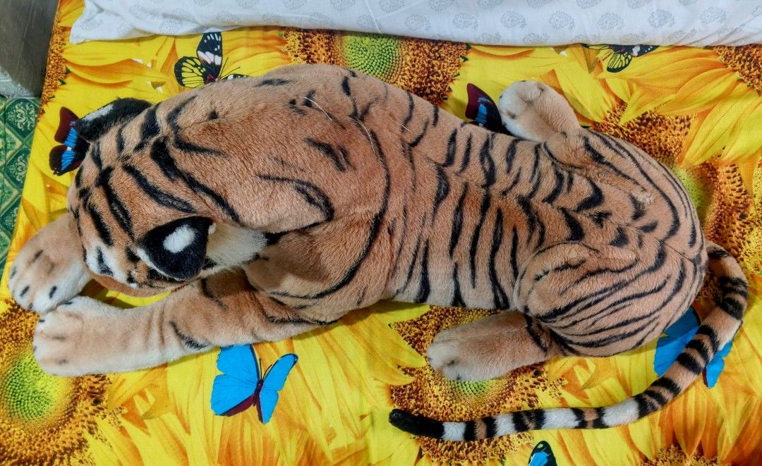 Tiger Stuffed Plush Toy (Category: Plushies & Soft Toys) located in Malabon City. Submitted by frgenesis (Listing ID 1462625321, Image 2). Description: FS: Tiger Plush Length: 33 in / 84 cm RFS: Decluttering Can do meet ups: Around Malabon Or delivery.