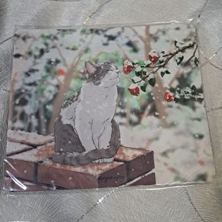 （分類：）位於 。 由 koolllook 提交（商品編號 1462804468，圖片 1）。簡介： 。