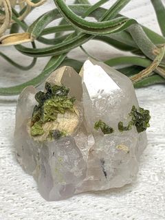 （分類：）位於 。 由 crystal_tree_99 提交（商品編號 1462690690，圖片 1）。簡介： 。