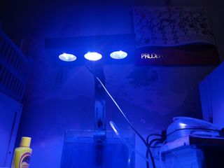 （分類：）位於 。 由 cosmicwind_76d474 提交（商品編號 1462824658，圖片 1）。簡介： 。