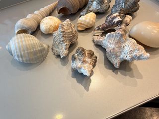 （分類：）位於 。 由 leekeestore 提交（商品編號 1462705251，圖片 1）。簡介： 。