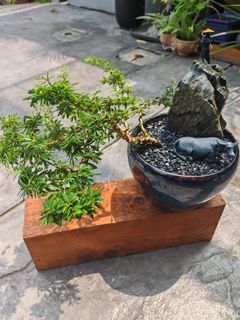 (Category: ) located in . Submitted by microtree.paintstudio (Listing ID 1462741362, Image 1). Description: .
