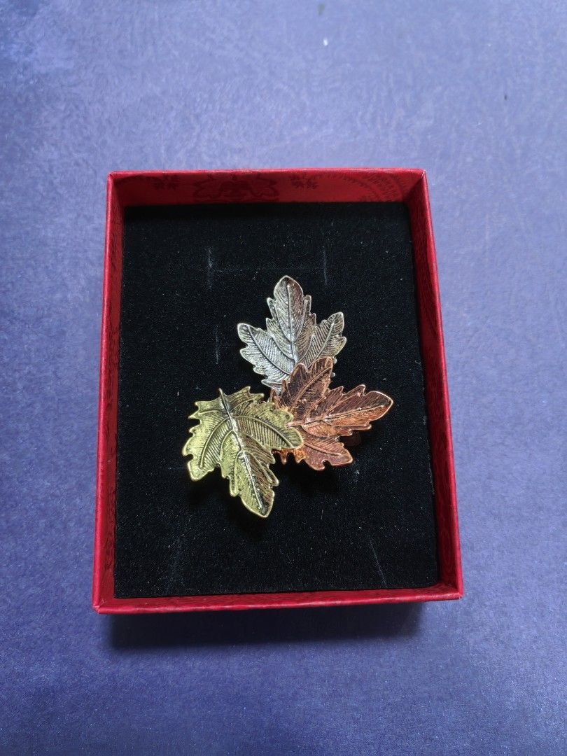 Brooch Pin 3 Tone Leaf (Category: Brooches) located in Taguig. Submitted by jeannescarlet (Listing ID 1462796095, Image 1). Description: 💎Brand New 💎Alloy Material.