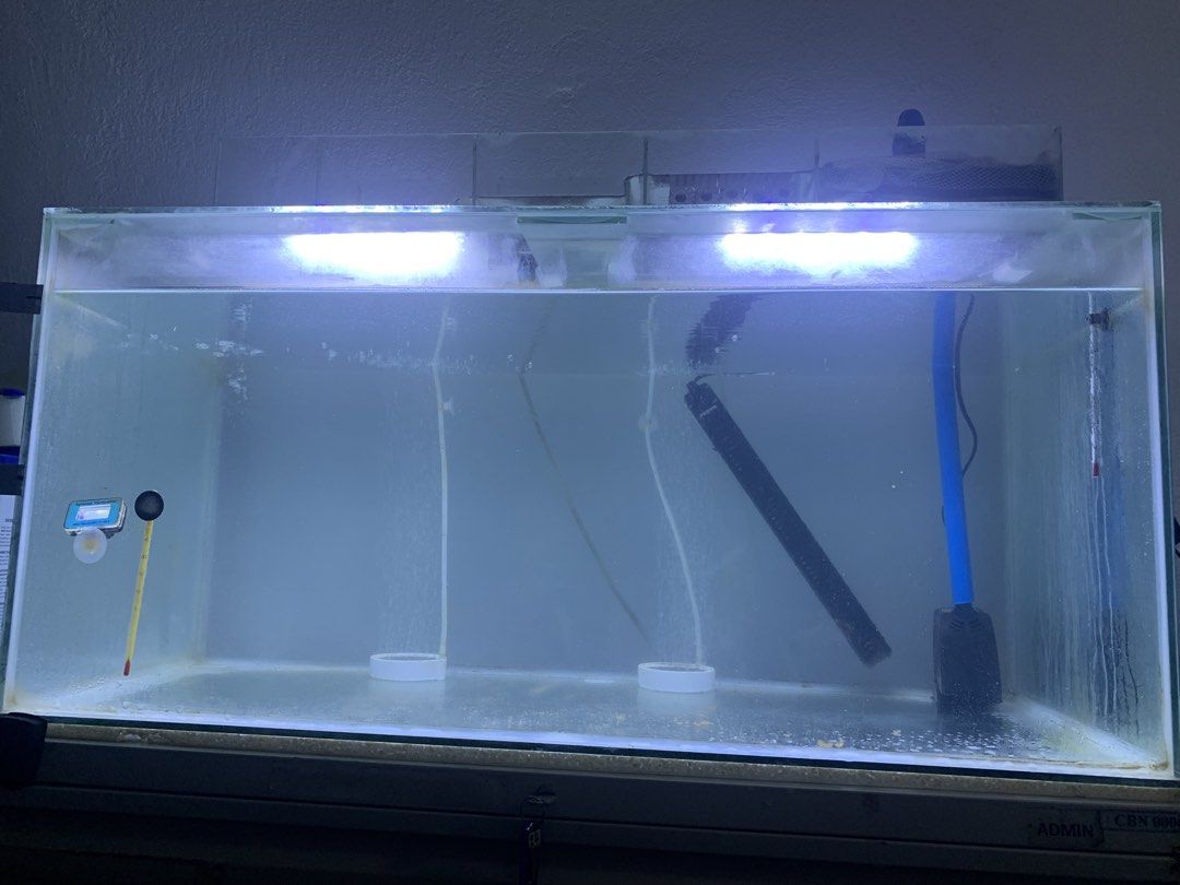 Customized 41Gal Aquarium Tank ( ( 31”x17”x16”) with Overhead Sump (Category: Homes & Other Pet Accessories) located in Cavite. Submitted by keiraadventureplayground (Listing ID 1462750503, Image 1). Description: C1- For sale Customized 41Gallon Tank ( 31”x17”x16”) for 1500 only- Fixed price Inclusion: 1. Tank 2. Overhead Sump 3. Piping Not included: everything in the pictures that is not mentioned above. Location: Trece Martires, Cavite Customiz