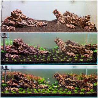 (Category: ) located in . Submitted by aquaphilic (Listing ID 1462746271, Image 1). Description: .