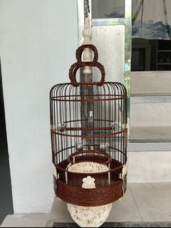 (Category: ) located in . Submitted by surebestpet (Listing ID 1462714822, Image 1). Description: .