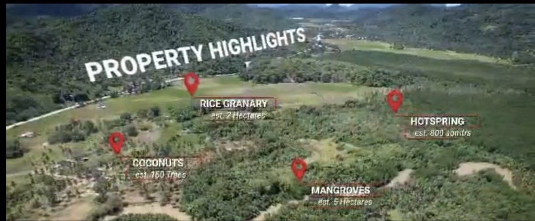 EL NIDO PALAWAN PROPERTY (Category: Lot) located in Manila. Submitted by janice.estillore (Listing ID 1462846583, Image 2). Description: 🌴 AN EXCLUSIVE PROPERTY OPPORTUNITY IN EL NIDO, PALAWAN For those looking beyond ordinary investments. A remarkable 10.9-hectare property in the breathtaking destination of El Nido, Palawan—offering an exceptional opportunity for those with a vision for a truly distinctive development. ✨ 10.9 Hectares 📍 El Nid