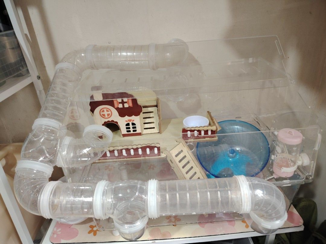HAMSTER CAGE (Category: Homes & Other Pet Accessories) located in Quezon City. Submitted by aya.encl (Listing ID 1462707639, Image 1). Description: HAMSTER ACRYLIC DOUBLE DECK CAGE FOR SALE 🐹 800 only 🐹 - Already cleaned. - with some minor issues like stain and two cracks (see pic) Free: - food - sand bath - apple stick - kusot Quezon City.