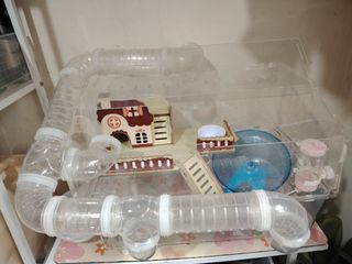 (Category: ) located in . Submitted by aya.encl (Listing ID 1462707639, Image 1). Description: .