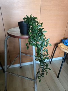 (Category: ) located in . Submitted by needtoclearmystuff (Listing ID 1462707542, Image 1). Description: .