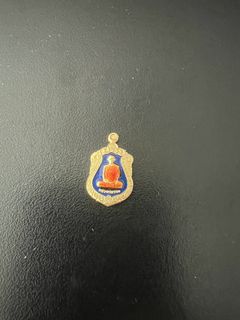 Thai Amulets from Temples 收藏品 1