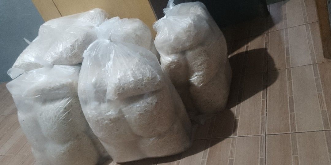 Monggo for togue (Category: Plants & Seeds) located in Manila. Submitted by ride-or-die (Listing ID 1462786301, Image 1). Description: per kilo and per sack black monggo pm.