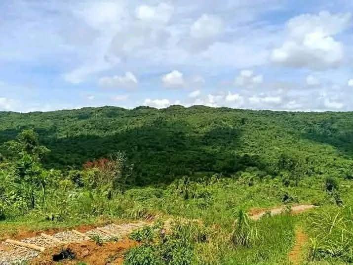 Overlooking Property For Sale (Category: Lot) located in Caloocan City. Submitted by peaky_traderz (Listing ID 1462698681, Image 2). Description: Overlooking Agricultural Land Property 129,179 sqm land area 350 per sqm Titled property Sustainable for: Farming Vacation and Excursions Retirement With Right of Way MESSAGE ME/CALL on my contacts..
