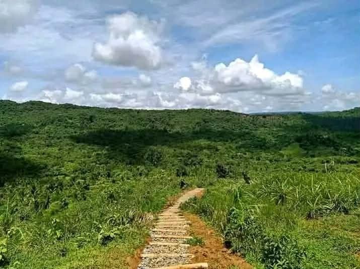 Overlooking Property For Sale (Category: Lot) located in Caloocan City. Submitted by peaky_traderz (Listing ID 1462698681, Image 1). Description: Overlooking Agricultural Land Property 129,179 sqm land area 350 per sqm Titled property Sustainable for: Farming Vacation and Excursions Retirement With Right of Way MESSAGE ME/CALL on my contacts..