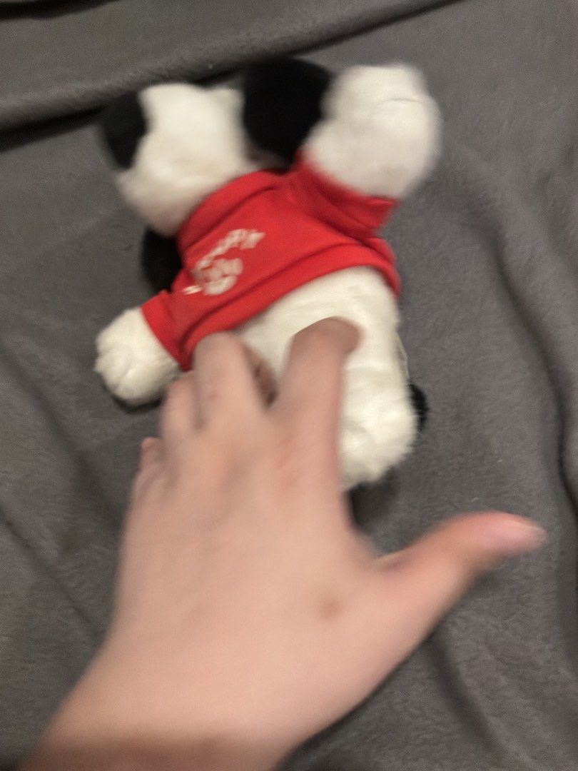 Peanuts Snoopy with Red Shirt (Category: Western Merchandise) located in Marikina City. Submitted by glimmr.ph (Listing ID 1462847829, Image 3). Description: .