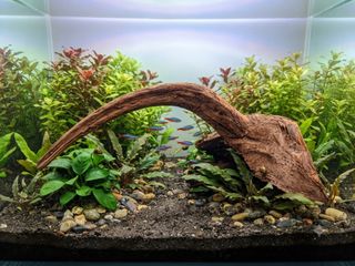 (Category: ) located in . Submitted by elmohi5 (Listing ID 1462794306, Image 1). Description: .
