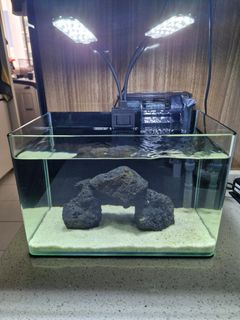 (Category: ) located in . Submitted by watch5969 (Listing ID 1462720770, Image 1). Description: .