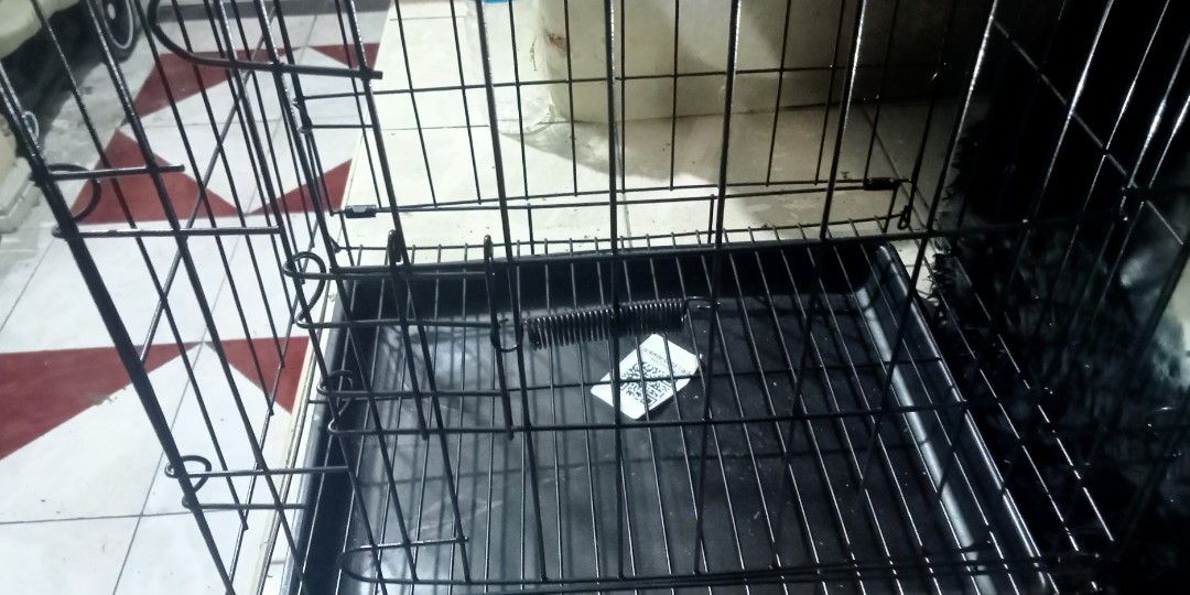 Smallest dog cage (Category: Homes & Other Pet Accessories) located in Paranaque City. Submitted by dimaguilaa94969 (Listing ID 1462780499, Image 1). Description: pm if ibt 09260966619.