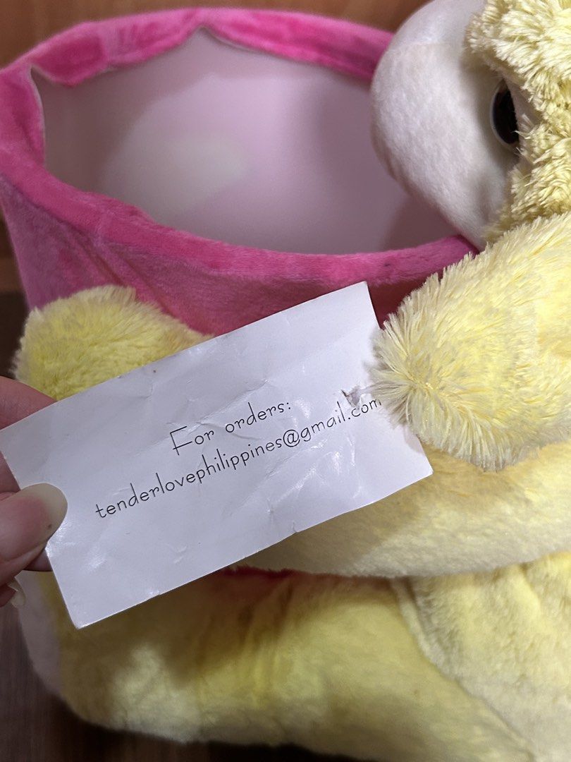 Teddy Container Stuff Toy with lalagyan (Category: Plushies & Soft Toys) located in Quezon City. Submitted by ameliaferragni (Listing ID 1462848217, Image 3). Description: Stuff toy with container Brand new.