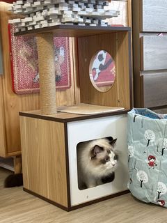 （分類：）位於 。 由 kian.w 提交（商品編號 1462708371，圖片 1）。簡介： 。