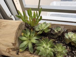 （分類：）位於 。 由 aathirax 提交（商品編號 1462725028，圖片 1）。簡介： 。