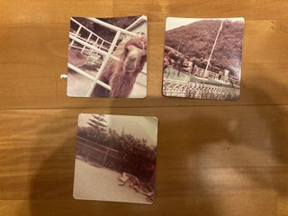 （分類：）位於 。 由 blackcoffeebookstore 提交（商品編號 1459213050，圖片 1）。簡介： 。