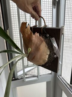 （分類：）位於 。 由 budget_for_u 提交（商品編號 1459147412，圖片 1）。簡介： 。