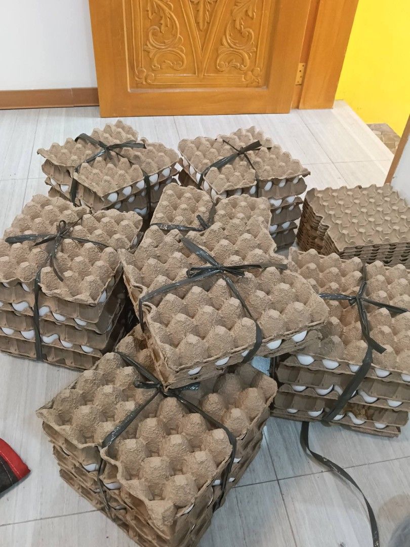 Fresh White Eggs - Bulk Purchase Available (Category: Fresh Produce) located in Manila. Submitted by faithfulserant (Listing ID 1459179121, Image 2). Description: - Fresh white eggs available in large quantities. - Packed securely in standard cardboard egg cartons. - Secured with black ties for extra safety. - Perfect for bakers, caterers, and high-volume users. - Bulk purchase options available. - Pickup only. Message for details on quantity and