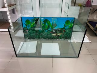 (Category: ) located in . Submitted by boyuan.aqua (Listing ID 1459110836, Image 1). Description: .